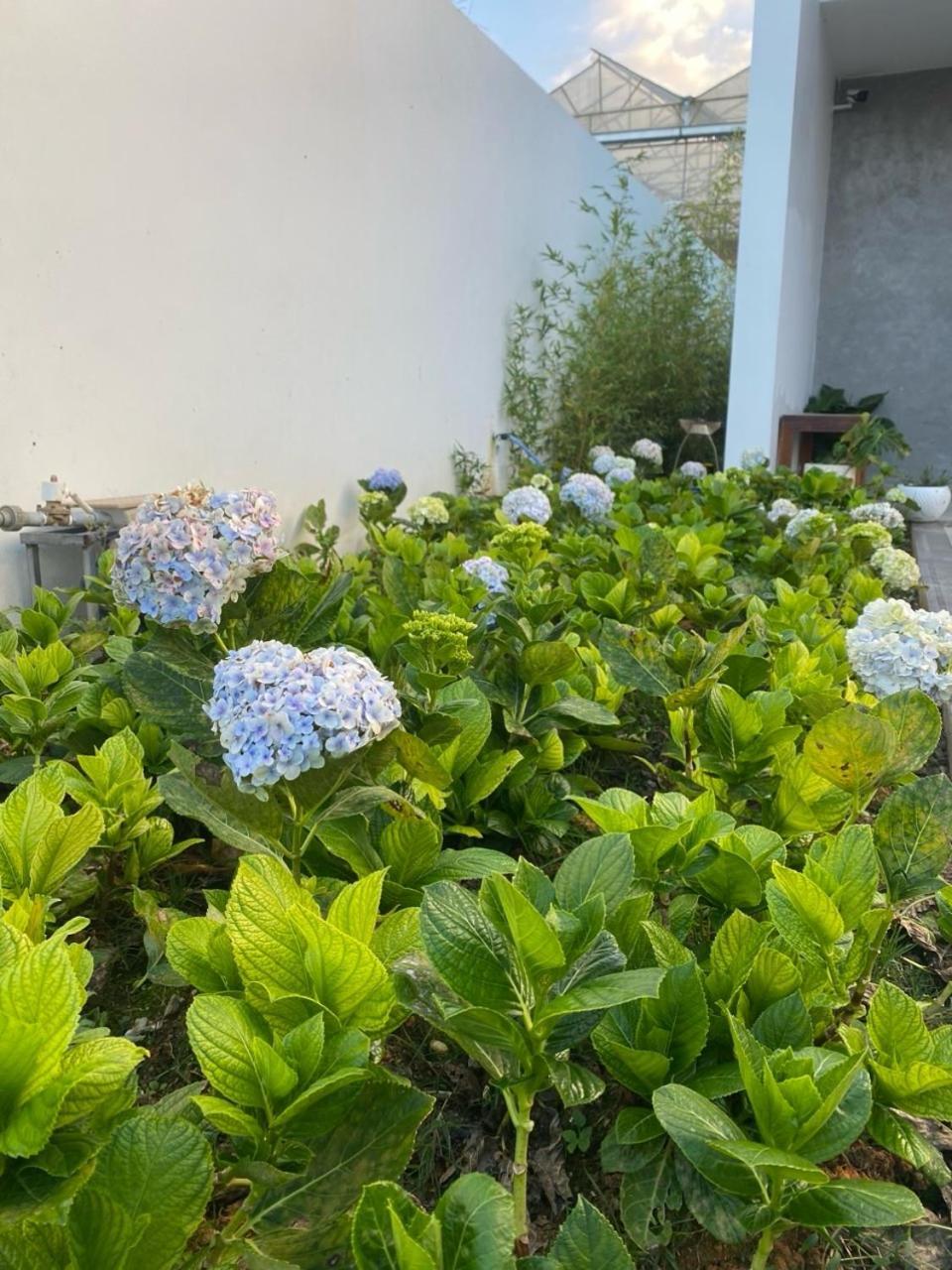 Ekehaus Da Lat Hotel Khu Chi Lăng Eksteriør billede
